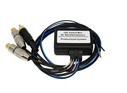 CAS Video switch universal